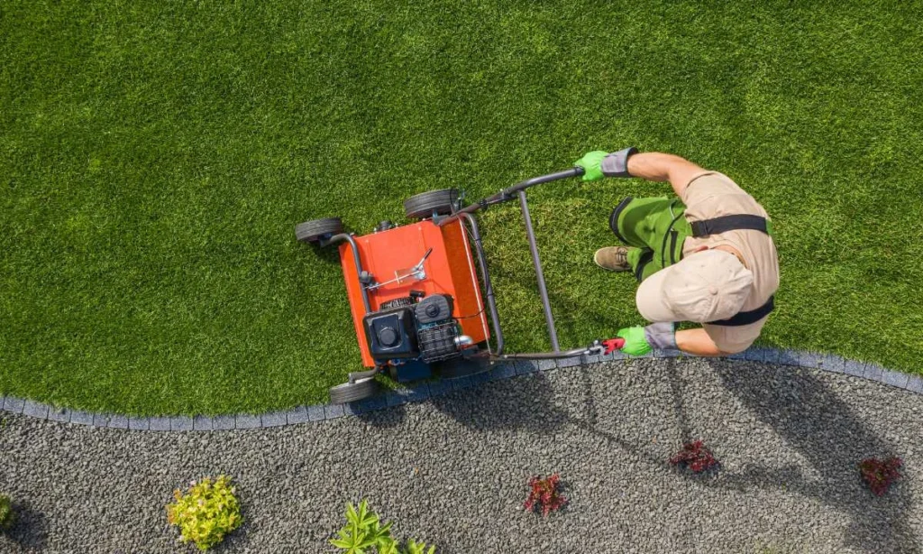 Aerial view of a backyard garden lawn aeration job