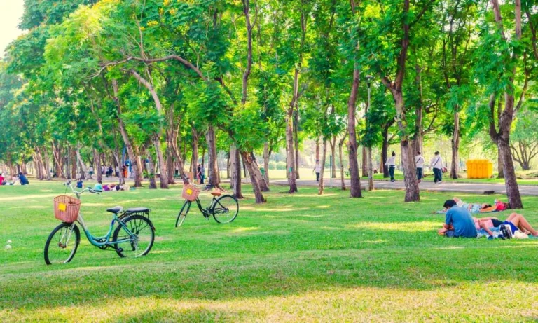 people having picnic in a park