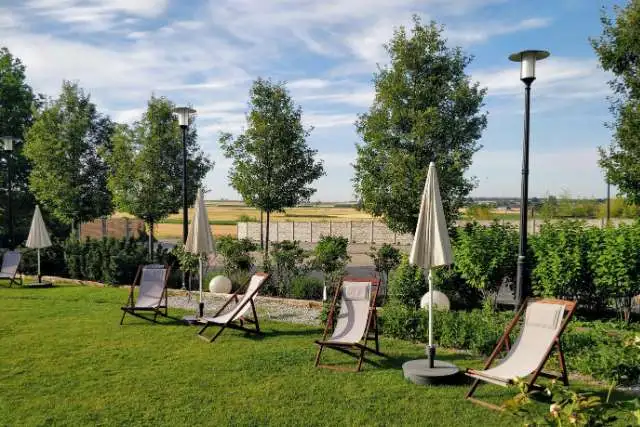 Tranquil Outdoor Garden with Loungers and Umbrellas