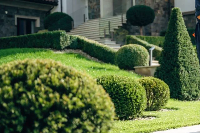 commercial place with a well maintained front lawn