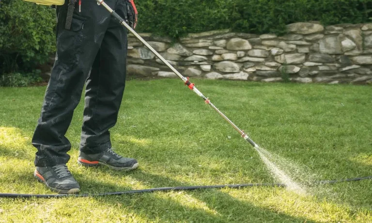lawn care professional spraying weeds in a lawn