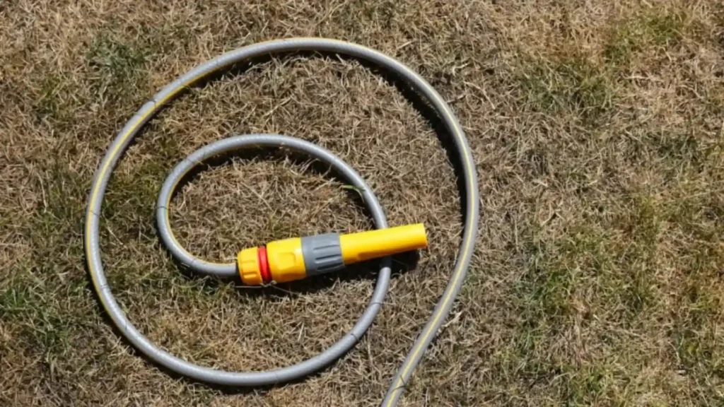Garden hose coiled on a dry, brown lawn during summer