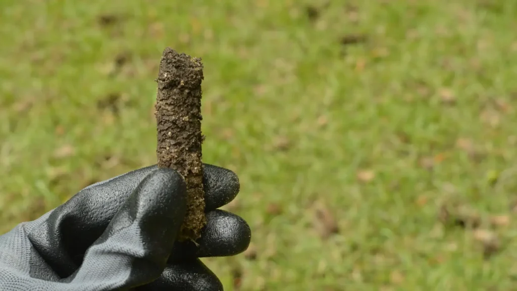 Close up of a soil core from core aeration process