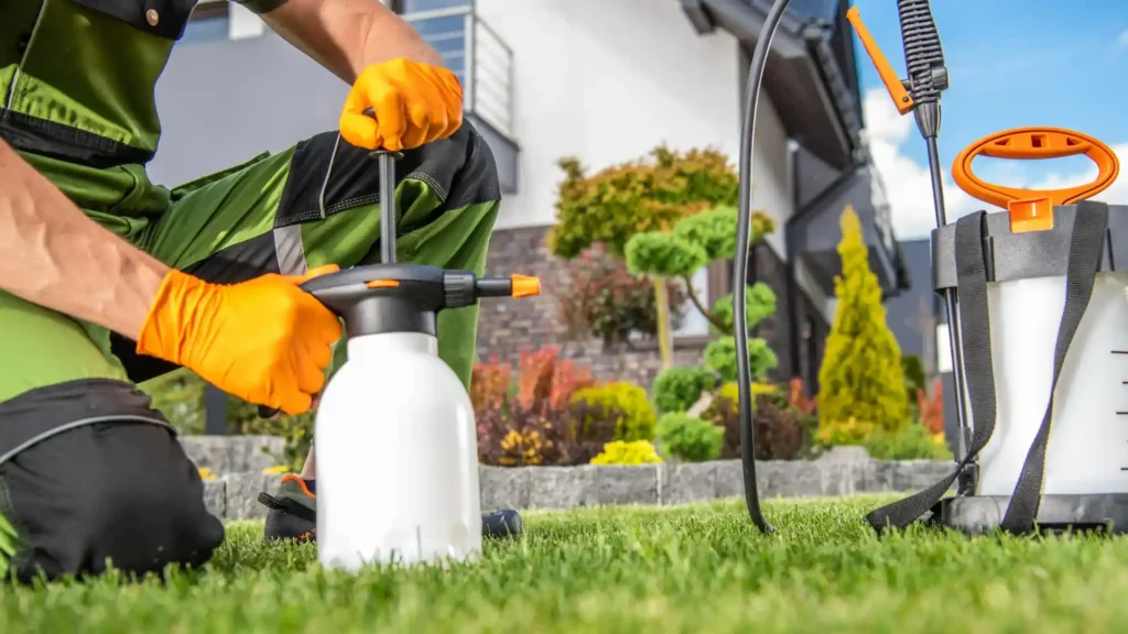 Lawn care worker spraying weed control on a residential lawn