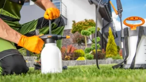 Lawn care worker spraying weed control on a residential lawn