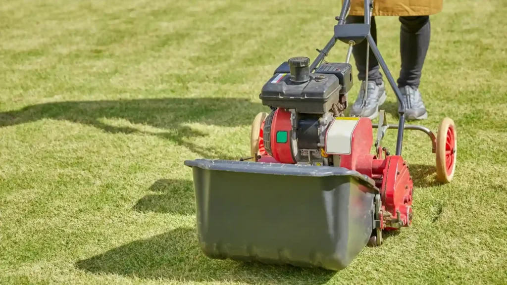 Lawn care technician operating a core aeration machine on a green grass lawn