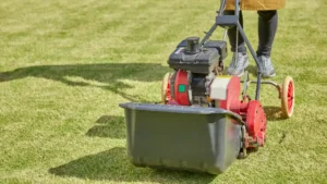 Lawn care technician operating a core aeration machine on a green grass lawn