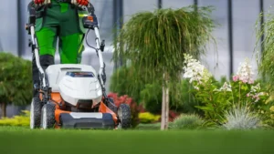 Lawn technician mowing healthy residential grass