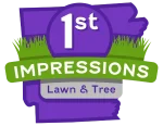 1st Impressions Favicon Colored 1st Impressions Logo