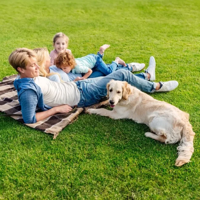 grub control company - family with pet 1.0