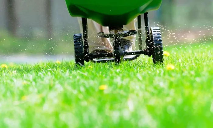 lawn care professional fertilizing a lawn using a spreader