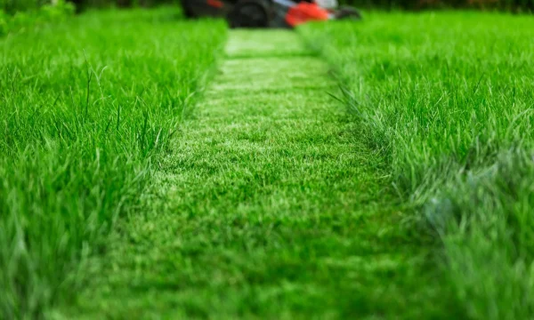 lawn-care-services-northwest-arkansas