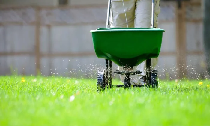 lawn care professional fertilizing a lawn using a spreader