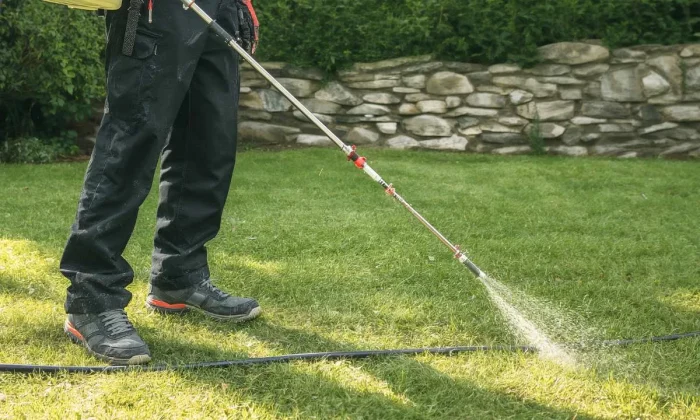lawn care professional spraying weeds in a lawn