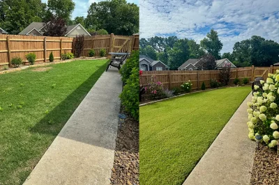 weed-control-services-1.1